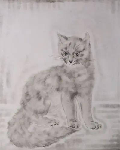 白い猫「猫十態」より