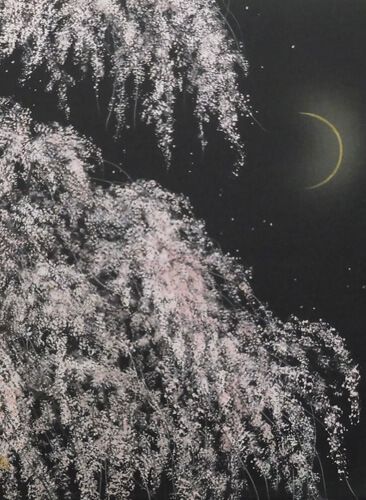 千住博 夜半一隈