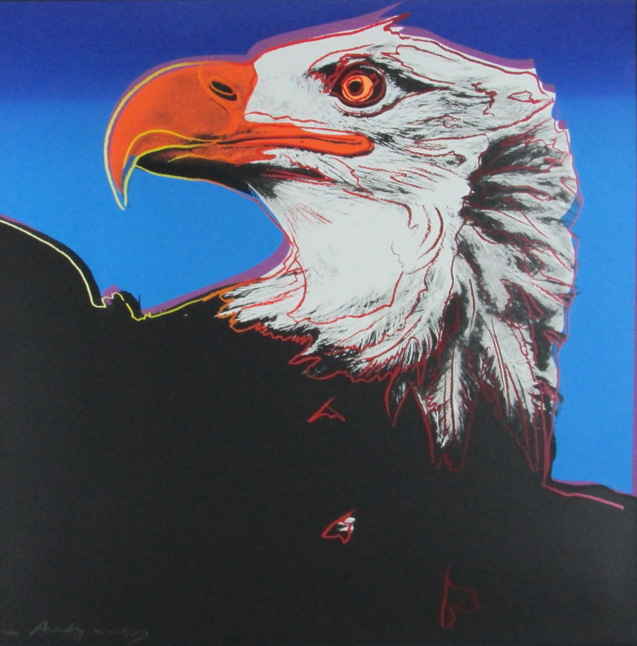 ハクトウワシ「絶滅に瀕する種」：BALD EAGLE「ENDANGERED SPECIES