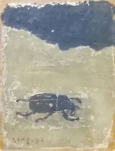兜虫