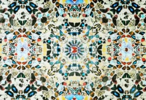 butterfly wall paper