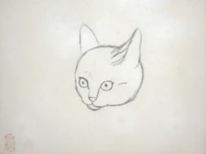 猫の顔