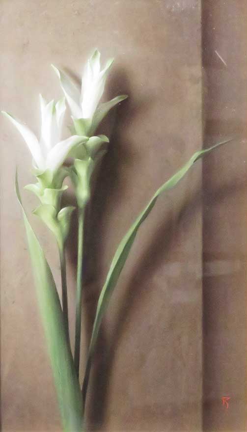 塩谷 亮、髪、厳選、希少画集・額装画、新品高級額 額装付、状態良好