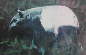 Tapir