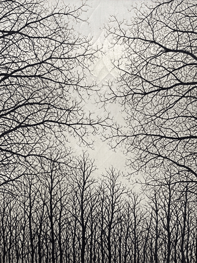 冨岡惣一郎 額装作品「早春・樹」 八海山 モノクロ 共シール付 真作