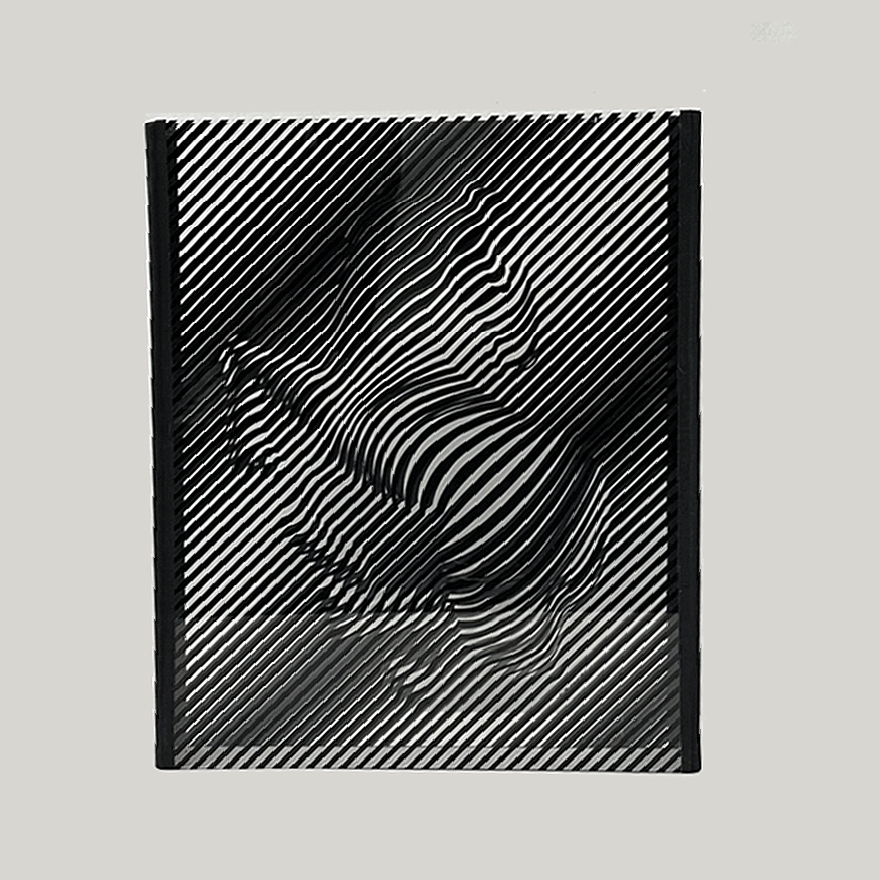 ヴィクトル・ヴァザルリ