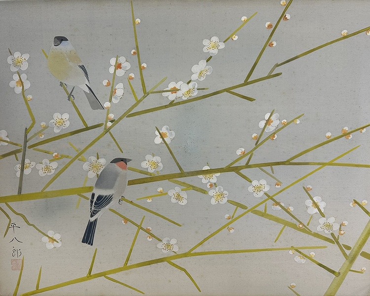 白梅小禽