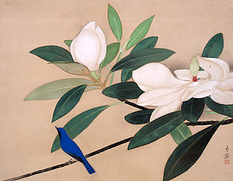 白華小禽