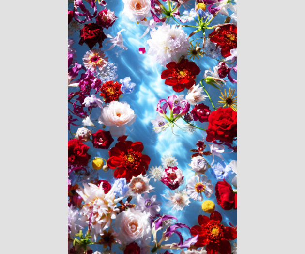 眩しさの奥にある静けさ：蜷川実花の色と時間