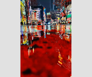 眩しさの奥にある静けさ：蜷川実花の色と時間