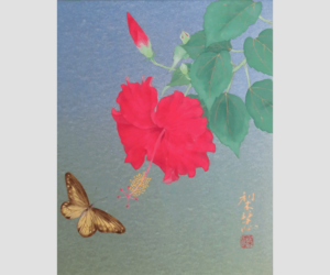花が咲く音まで描く 森田りえ子の生命力