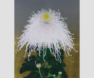 花が咲く音まで描く 森田りえ子の生命力